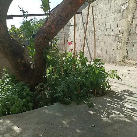 Casa Della Nonna Donisi